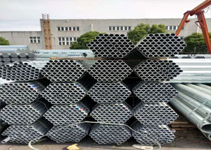 青青草视频污IOS